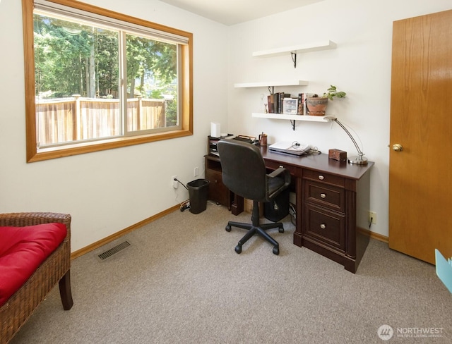17219 90th Avenue Ct E, Puyallup, WA 98375 - photo 29