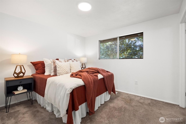 6819 Braker Way, Lynden, WA 98264 - carpeted bedroom featuring baseboards