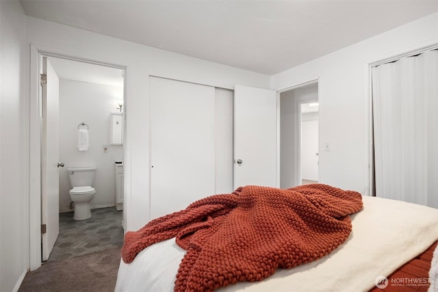 6819 Braker Way, Lynden, WA 98264 - carpeted bedroom featuring two closets and ensuite bath