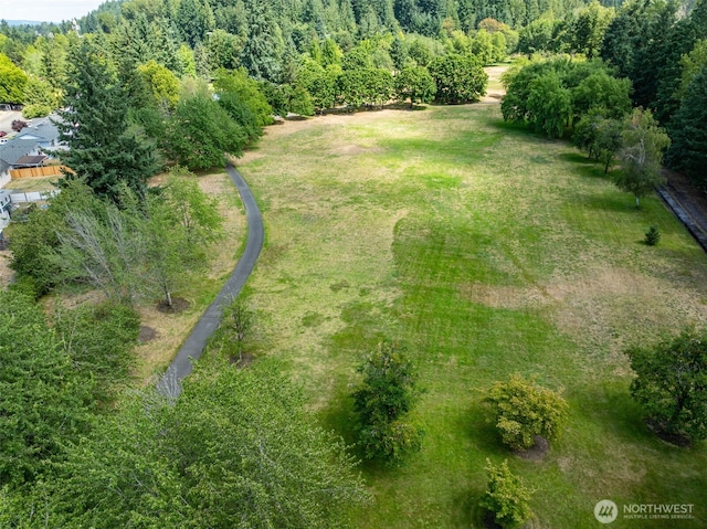 3320 V St SE, Auburn, WA 98002 - photo 31