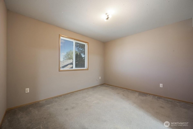 6707 Ruth Dr, Pasco, WA 99301 - photo 24