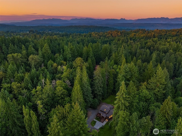 3804 274th Ave SE, Issaquah, WA 98029 - photo 30