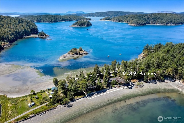 512 Broken Point Rd, Shaw Island, WA 98286 - water view featuring a heavily wooded area and a mountain backdrop