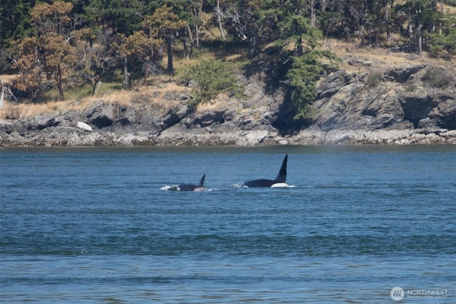 512 Broken Point Rd, Shaw Island, WA 98286 - water view