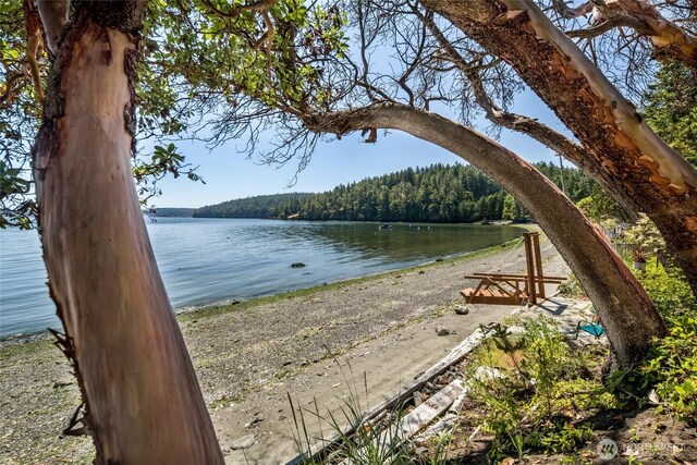 512 Broken Point Rd, Shaw Island, WA 98286 - water view with a heavily wooded area