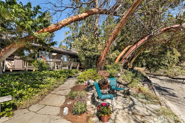 512 Broken Point Rd, Shaw Island, WA 98286 - view of yard with a patio area