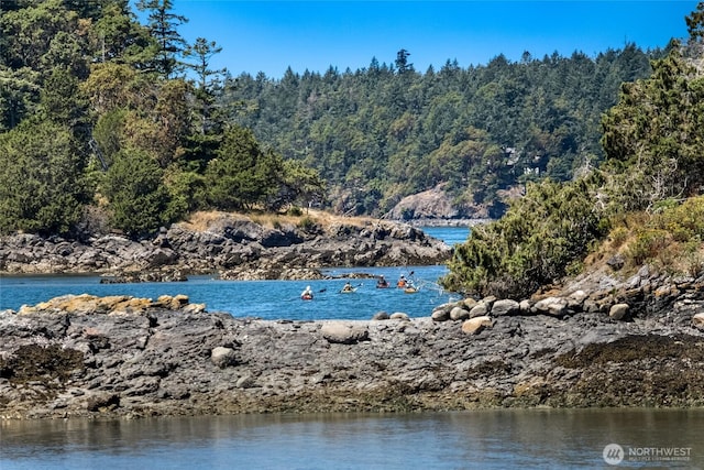 512 Broken Point Rd, Shaw Island, WA 98286 - water view with a forest
