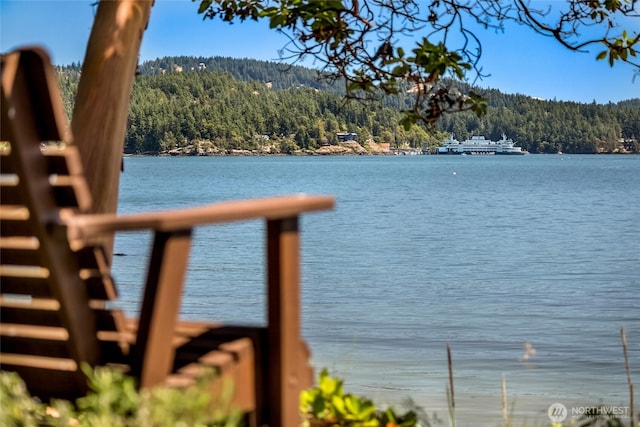 512 Broken Point Rd, Shaw Island, WA 98286 - water view featuring a heavily wooded area