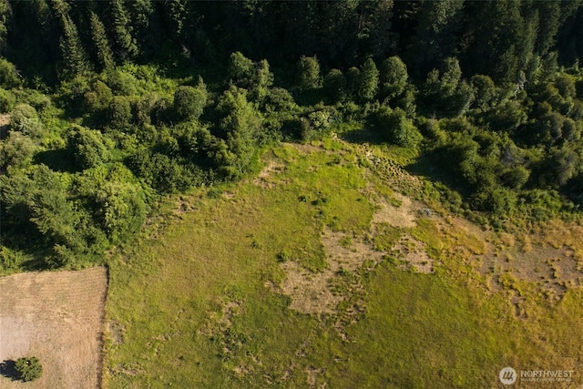 10479 Eagle Creek Rd, Leavenworth, WA 98826