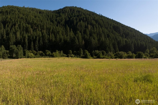 10479 Eagle Creek Rd, Leavenworth, WA 98826
