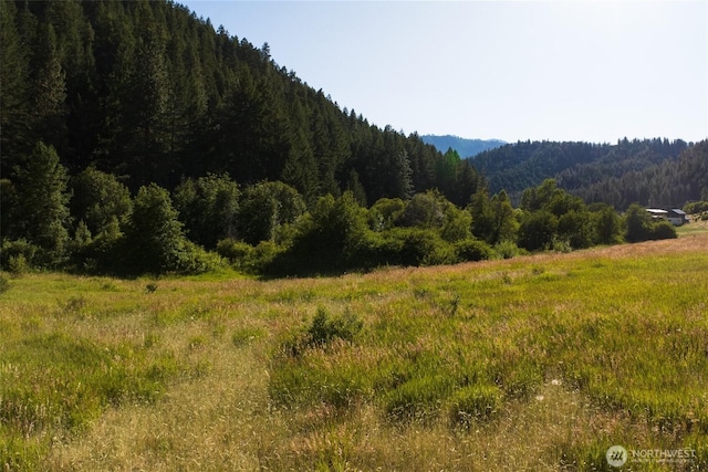 10479 Eagle Creek Rd, Leavenworth, WA 98826
