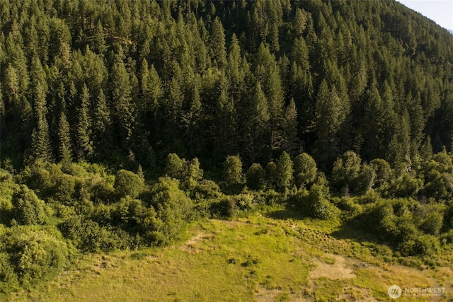 10479 Eagle Creek Rd, Leavenworth, WA 98826