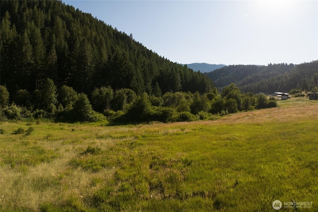 10479 Eagle Creek Rd, Leavenworth, WA 98826