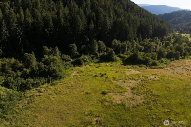 10479 Eagle Creek Rd, Leavenworth, WA 98826