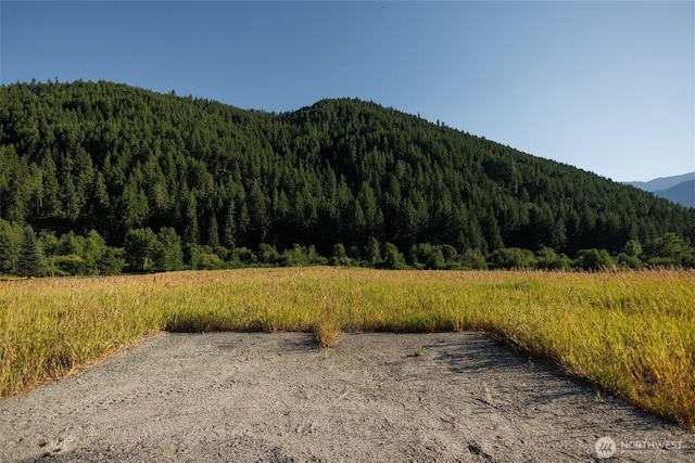 10479 Eagle Creek Rd, Leavenworth, WA 98826