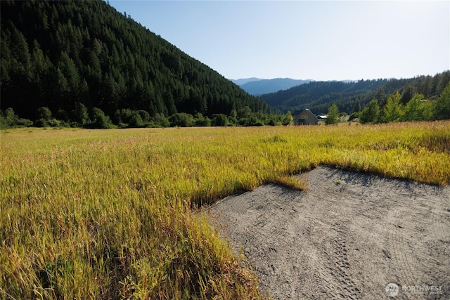10479 Eagle Creek Rd, Leavenworth, WA 98826
