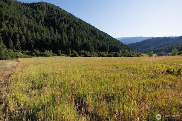 10479 Eagle Creek Rd, Leavenworth, WA 98826