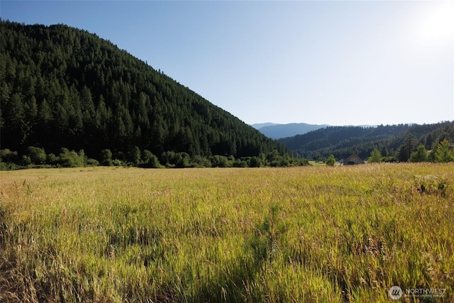 10479 Eagle Creek Rd, Leavenworth, WA 98826