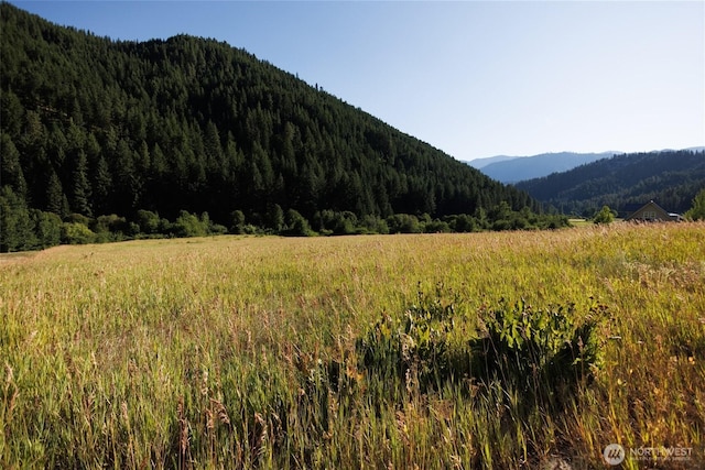 10479 Eagle Creek Rd, Leavenworth, WA 98826