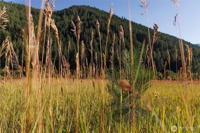 10479 Eagle Creek Rd, Leavenworth, WA 98826
