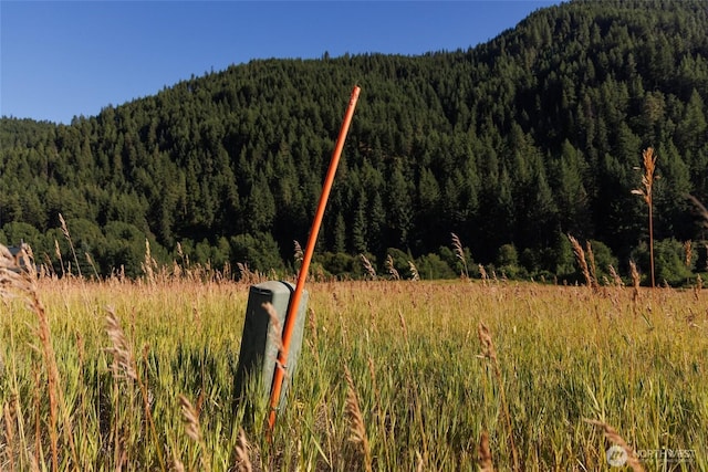10479 Eagle Creek Rd, Leavenworth, WA 98826