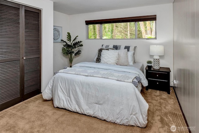 15025 SE 22nd St, Bellevue, WA 98007 - bedroom with carpet flooring and a closet