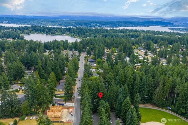 15025 SE 22nd St, Bellevue, WA 98007 - drone / aerial view of a forest and a water and mountain view