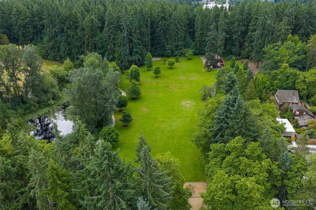 15025 SE 22nd St, Bellevue, WA 98007 - bird's eye view of a heavily wooded area and a large body of water