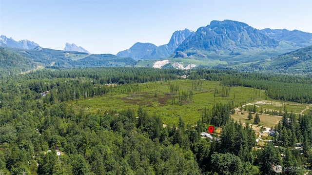 15932 427th Ave SE, Gold Bar, WA 98251 - view of mountain backdrop with a heavily wooded area