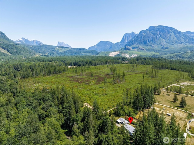 15932 427th Ave SE, Gold Bar, WA 98251 - view of mountain backdrop with a heavily wooded area