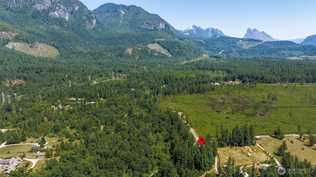 15932 427th Ave SE, Gold Bar, WA 98251 - mountain view featuring a heavily wooded area