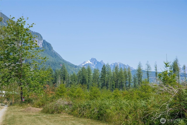 15932 427th Ave SE, Gold Bar, WA 98251 - view of mountain background featuring a heavily wooded area