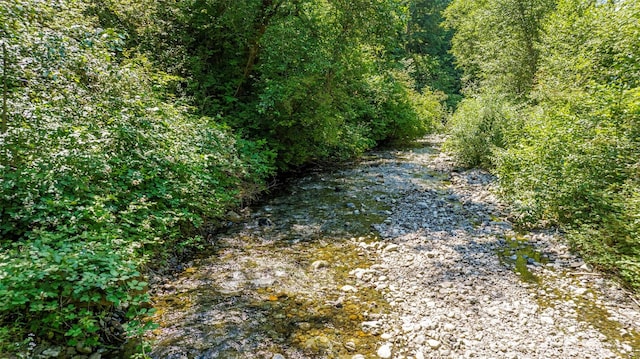 15932 427th Ave SE, Gold Bar, WA 98251 - view of local wilderness