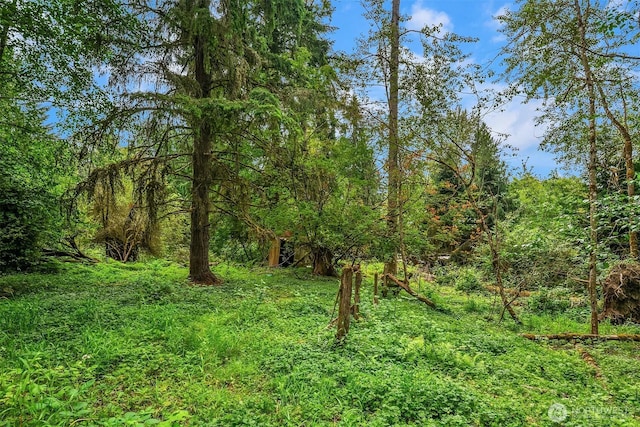 19270 303rd Pl NE, Duvall, WA 98019