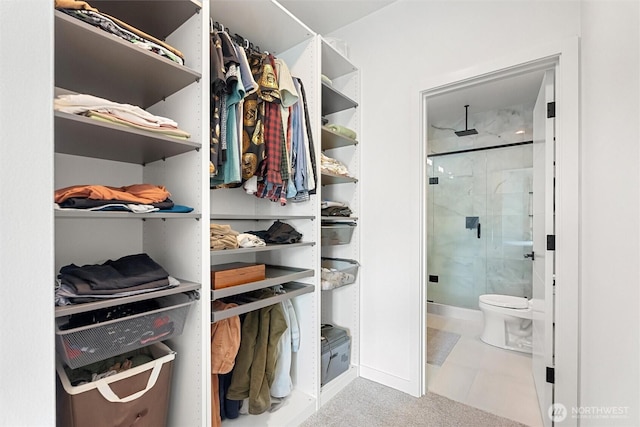 8455 Delridge Way SW, Seattle, WA 98106 - view of spacious closet