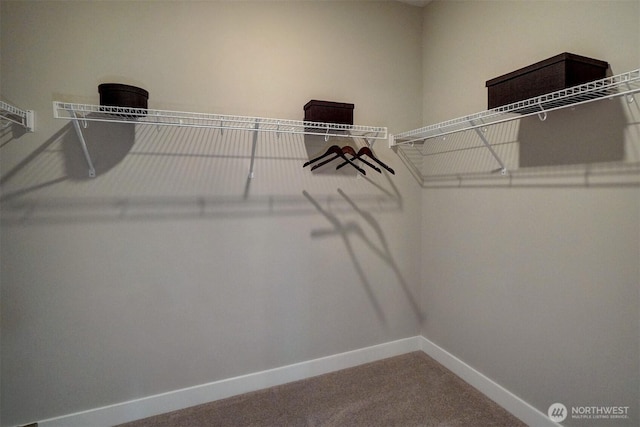 29207 217th Pl SE Unit 1, Black Diamond, WA 98010 - spacious closet featuring carpet flooring