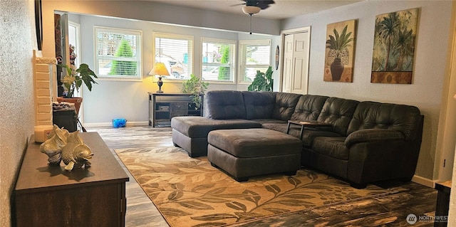 31505 46th Ave S, Auburn, WA 98001 - living room featuring wood finished floors and baseboards