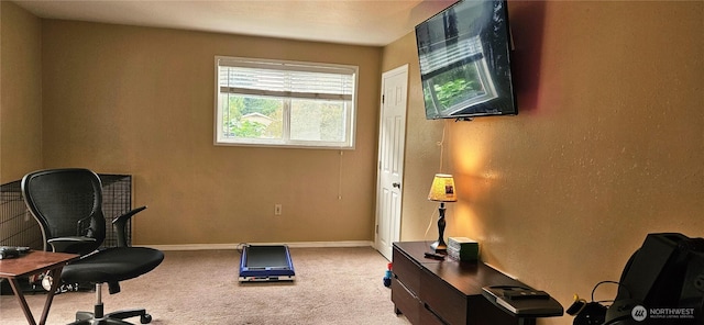 31505 46th Ave S, Auburn, WA 98001 - office area featuring carpet and baseboards