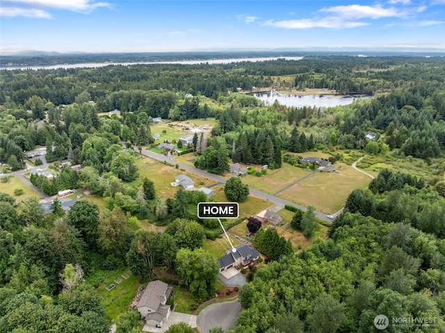 3517 Frogs Leap Ln NE, Olympia, WA 98506 - aerial view of a forest and a large body of water