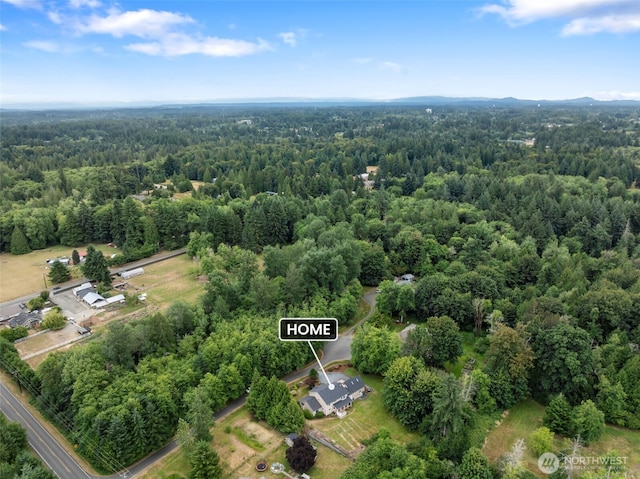 3517 Frogs Leap Ln NE, Olympia, WA 98506 - aerial view of property's location featuring a forest