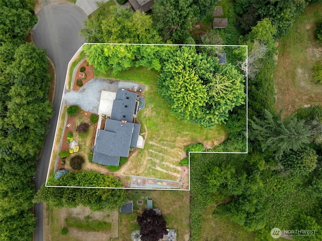3517 Frogs Leap Ln NE, Olympia, WA 98506 - aerial view of property and surrounding area with property parcel outlined