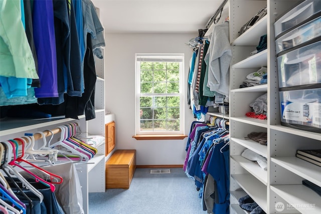 3517 Frogs Leap Ln NE, Olympia, WA 98506 - walk in closet with carpet flooring
