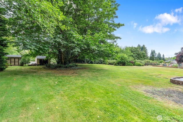 3517 Frogs Leap Ln NE, Olympia, WA 98506 - view of green lawn with a storage shed and view of wooded area