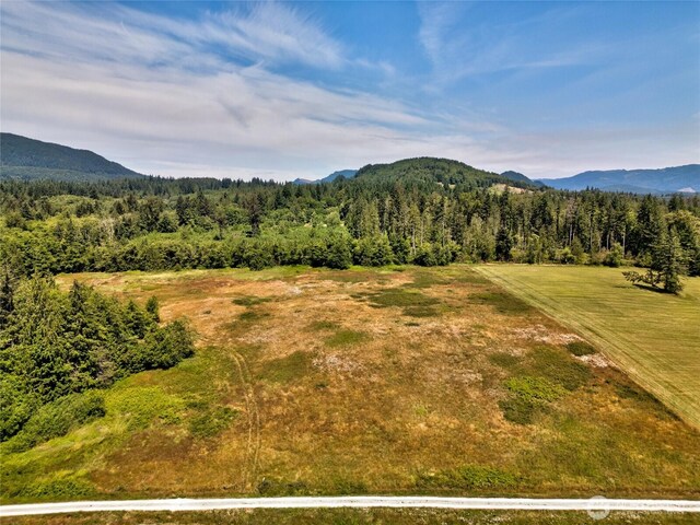 0 Colony Rd, Bow, WA 98232 - photo 3