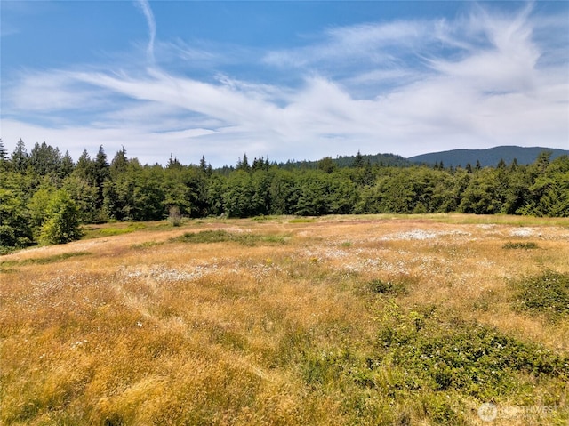 0 Colony Rd, Bow, WA 98232 - photo 8