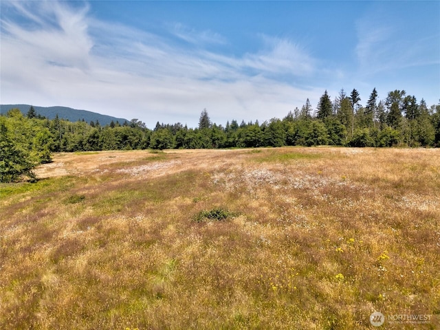 0 Colony Rd, Bow, WA 98232 - photo 9