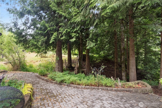 5818 Everson Goshen, Bellingham, WA 98226 - view of yard