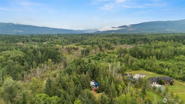 5818 Everson Goshen, Bellingham, WA 98226 - aerial view of a forest and a mountainous background