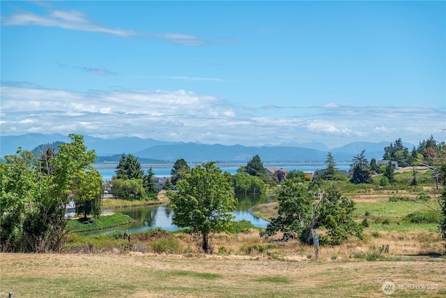 699 Maplewood Loop, Oak Harbor, WA 98277 - photo 37