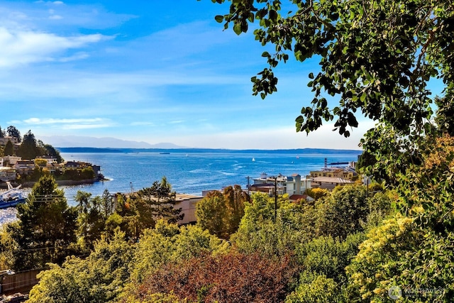 5618 Seaview Ave NW, Seattle, WA 98107 - photo 5
